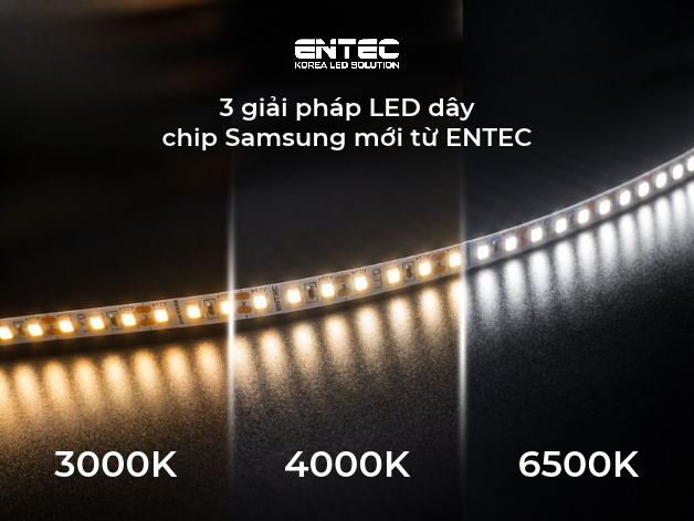 LED dây chip Samsung đầu tiên tại Việt Nam – Bước mở rộng danh mục sản phẩm của ENTEC